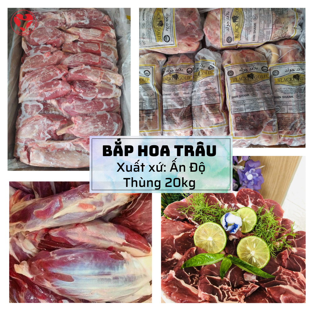 Bắp Hoa Trâu Ấn Độ