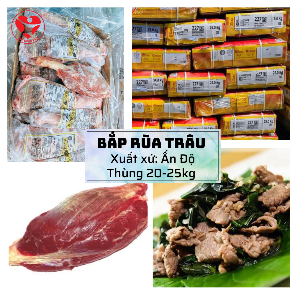 Bắp Rùa Trâu Ấn Độ