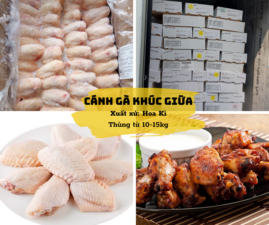 Cánh Gà Khúc Giữa