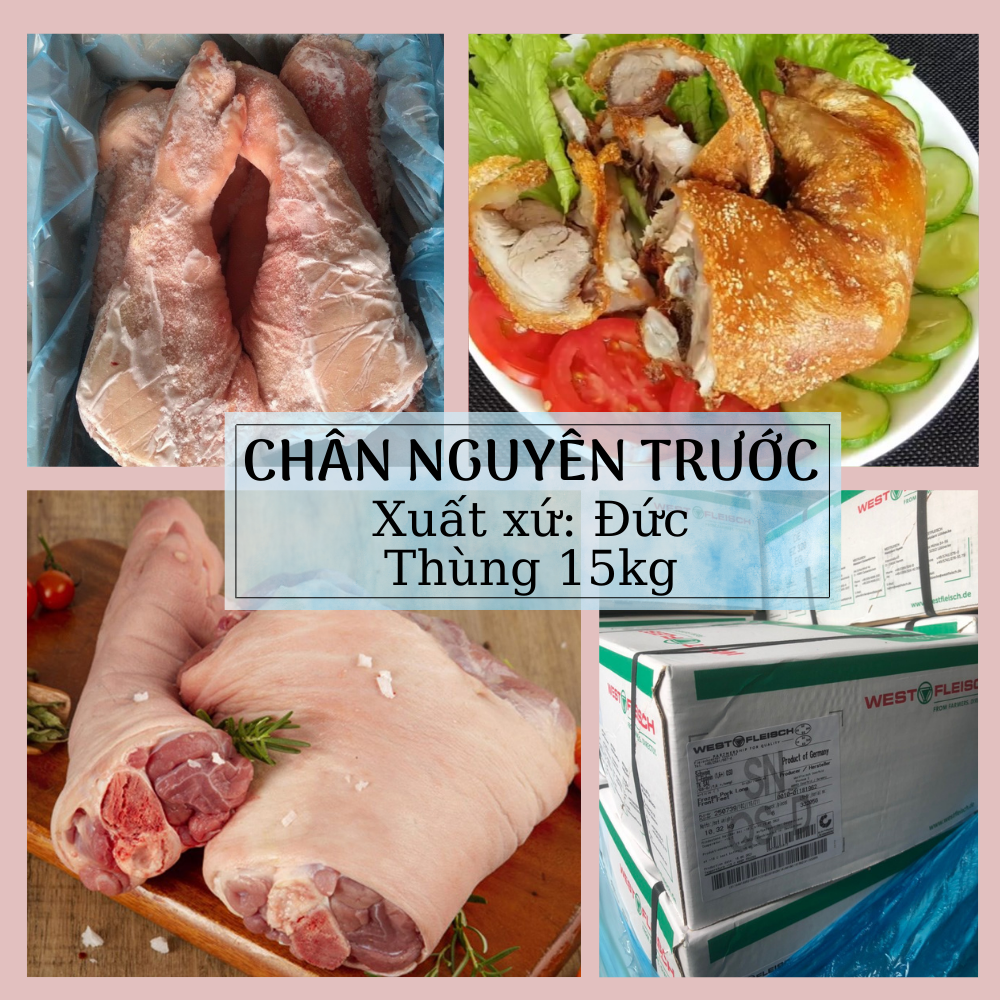 Chân Nguyên Trước Heo Đông Lạnh